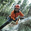 Puude langetamine ja äravedu, arboristi teenused, hooldamine (foto #1)