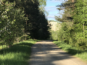 Müüa suur maatükk. Elamumaa - 2,34 ha Rumm (4 foto / 5)