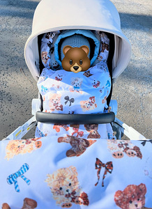 Käru Ibebe-I-Stop (8 foto / 8)