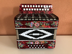 Гармошка Чайка соль мажор 21x12