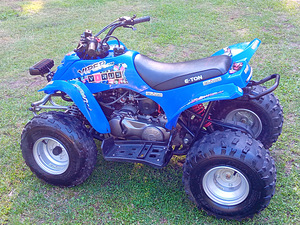 ETon Viper 90r (5 foto / 6)