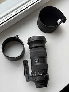 Sigma 60-600mm f/4.5-6.3 DG OS HSM Sports Lens for ef Canon (4 foto / 9)