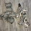 Роликовые коньки Rollerblade женские №40 + протекторы (фото #1)