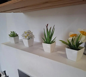 6 pisikest kunsttaime koos potiga. Komplektina. (6 foto / 6)