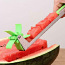 Nuga arbuusi ja meloni jaoks (foto #2)