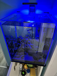 AQUAEL SHRIMP Set 30 (2 foto / 4)