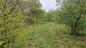 Üürile anda 800 m² suurune krunt Maardus (6 foto / 11)