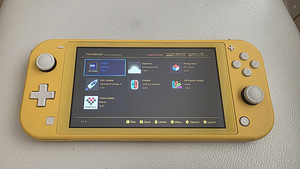 Nintendo switch lite CFW JAILBREAK 512GB (2 foto / 2)