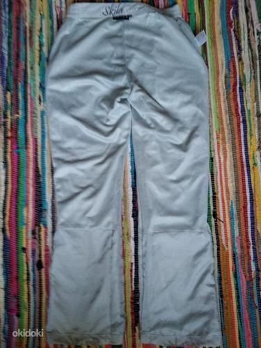 Fishbone спортивные штаны, размер 36 (фото #3)