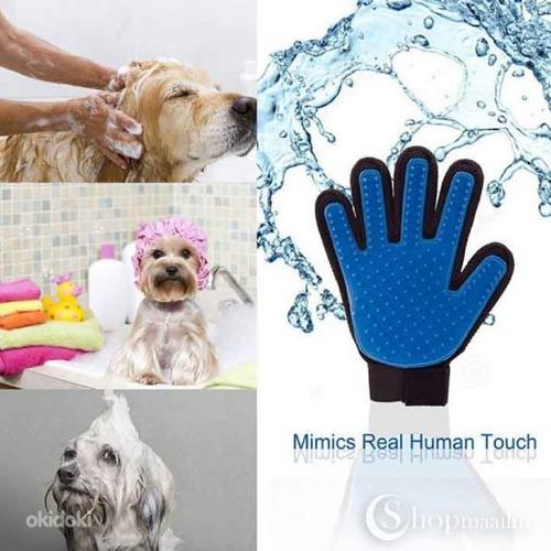 Перчатка для вычесывания шерсти (для собак и кошек) (фото #1)