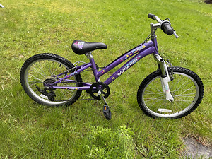 20" Shwinn jalgratas lastele 6-9a (1 foto / 4)