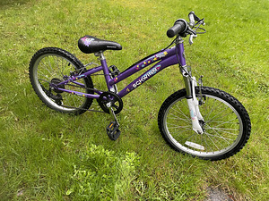20" Shwinn jalgratas lastele 6-9a (3 foto / 4)