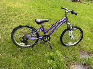 20" Shwinn jalgratas lastele 6-9a (4 foto / 4)