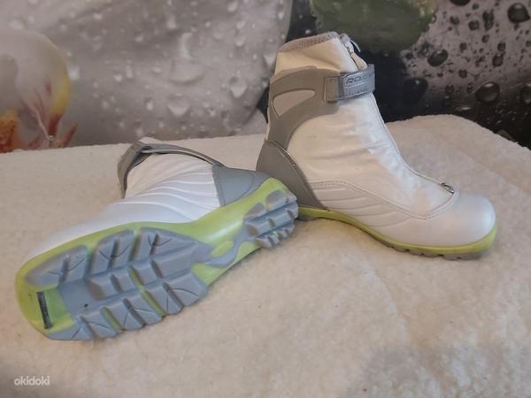 Лыжные ботинки Rossignol X5 размер 38 (фото #1)
