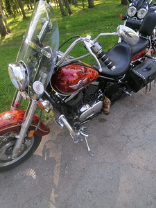 Kawasaki vn 800 (6 foto / 6)