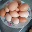 Kodused munad (foto #3)