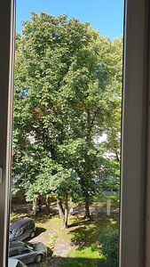 F. R. Kreutzwaldi tn 13, Kesklinna, Tallinn, Harjumaa (12 фото из 13)