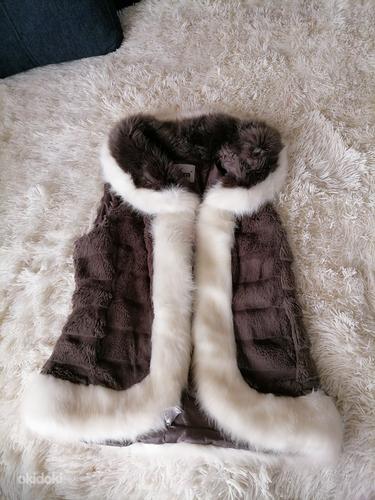 Vest