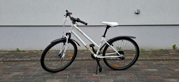 Classic Lady Sport 20