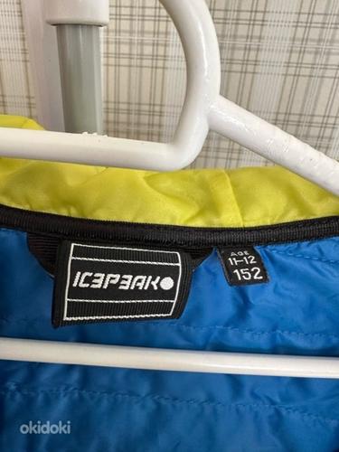 Куртка детская icepeak р.152 (фото #3)