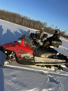 Polaris dragon (2 foto / 2)