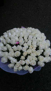 Florist (1 foto / 1)