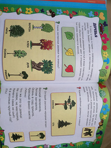 Koolieeliku entsüklopeedia (5 foto / 9)