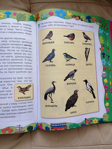 Koolieeliku entsüklopeedia (8 foto / 9)