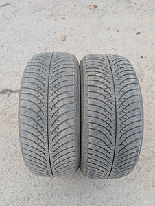 225/55/r17 (1 foto / 5)