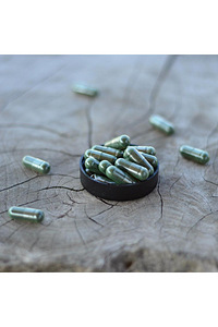 Spirulina - looduse roheline jõud (2 foto / 3)