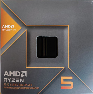 AMD Ryzen 5 8600G protsessoriga moodne mänguarvuti (6 foto / 7)