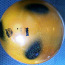 Sasaki мяч (фото #1)