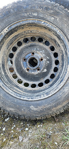 195/65R15 Good Year (9 foto / 10)