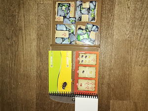 Игра (2 фото из 3)