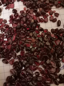 Garnet (1 foto / 2)
