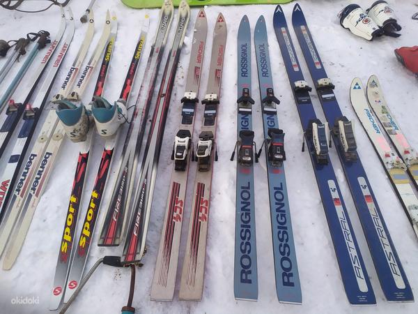 Зимнее снаряжение горные лыжи лыжи санки (фото #1)