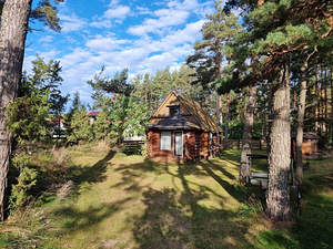 Rannasalu tee 1b, Katase, Alutaguse vald, Ida-Virumaa (12 foto / 16)
