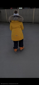 Lenne talve joope (2 foto / 2)