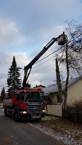 Puude lõikamine (2 foto / 6)