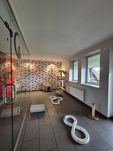 Lemmikloomade hotell - Pet Villa (6 foto / 10)