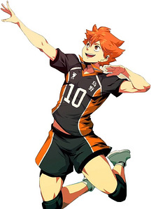 Costume cosplay Hinata volleyball (1 foto / 2)