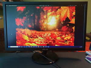 MONITOR Asus VP248H (1 foto / 5)