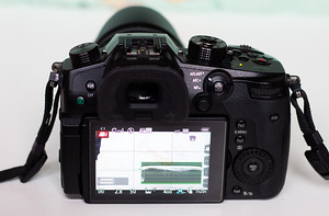 Panasonic Lumix G DC-GH5 (2 фото из 3)