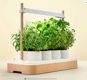 Auk Mini Smart Garden nutiaed UUS (1 foto / 3)