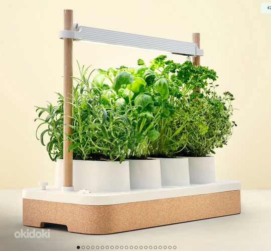 Auk Mini Smart Garden nutiaed UUS
