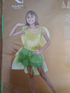 Karnevali kostüümid lastele (2 foto / 10)