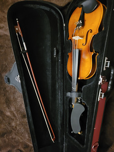 Viiul 1/2 komplekt (3 foto / 5)