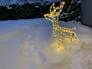 LED valgustiga kaunistusega Hirv, Kits, Põder (2 foto / 2)