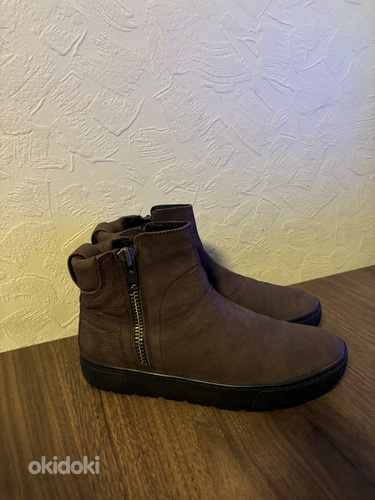 Vagabond 37