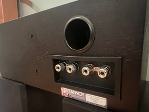 Tannoy Revolution DC4 LCR keskkōlar (3 foto / 4)